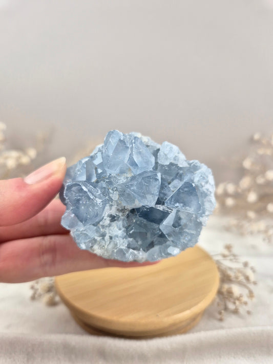 Coelestin Cluster (1)