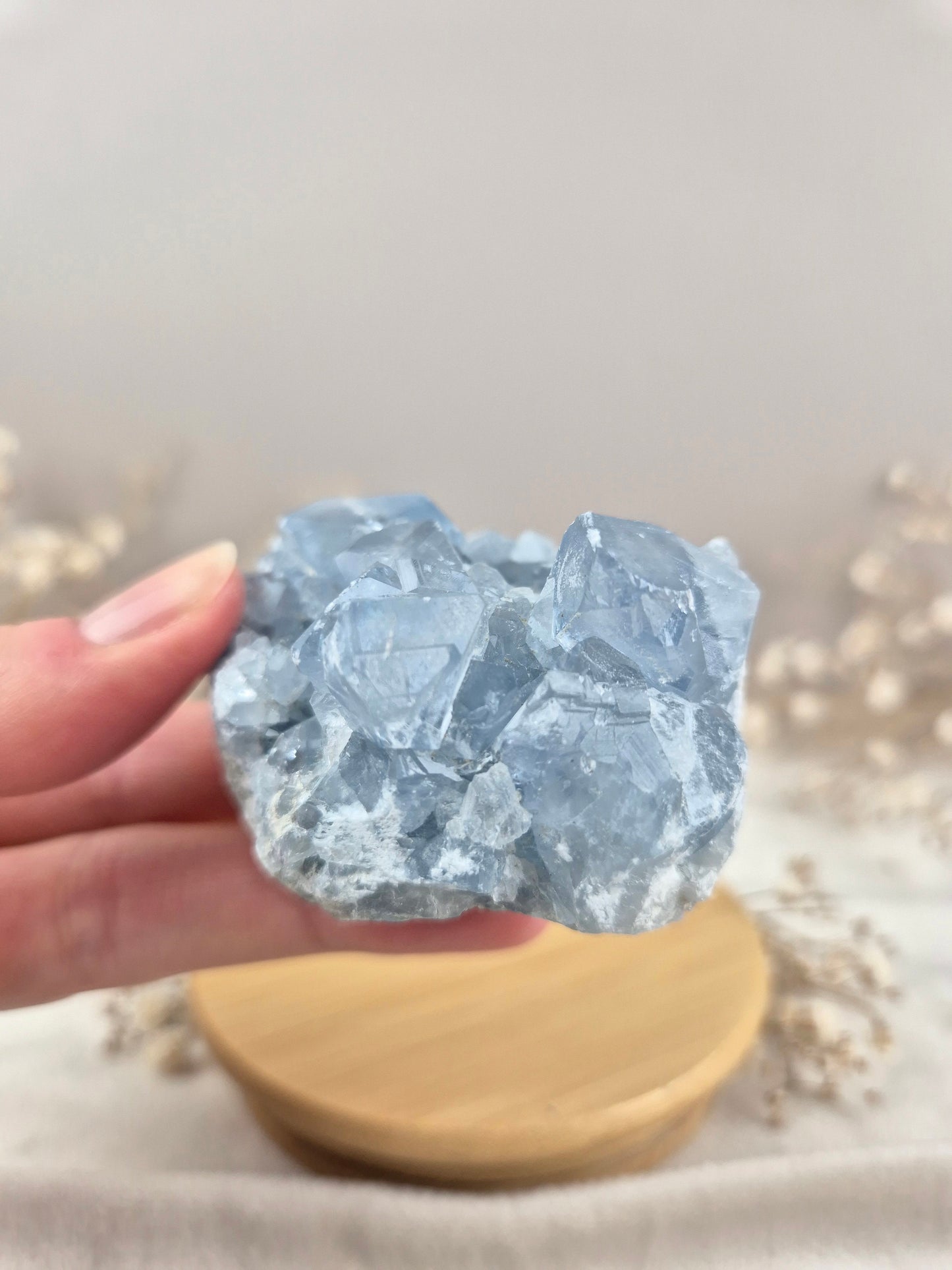 Coelestin Cluster (1)