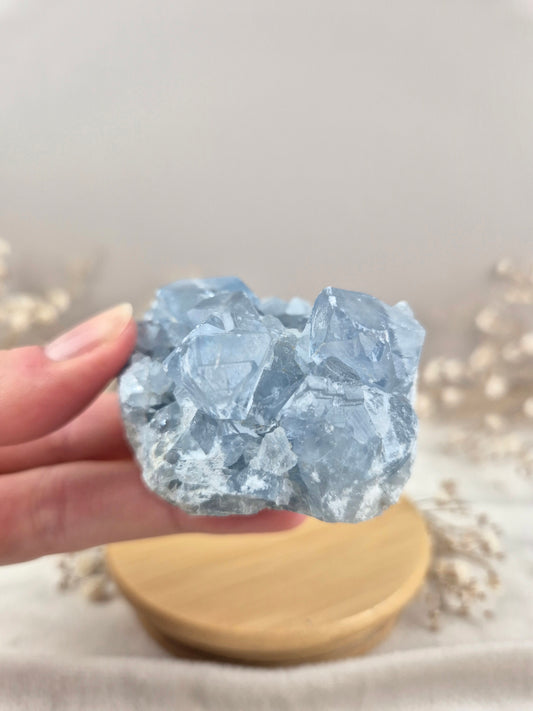 Coelestin Cluster (1)