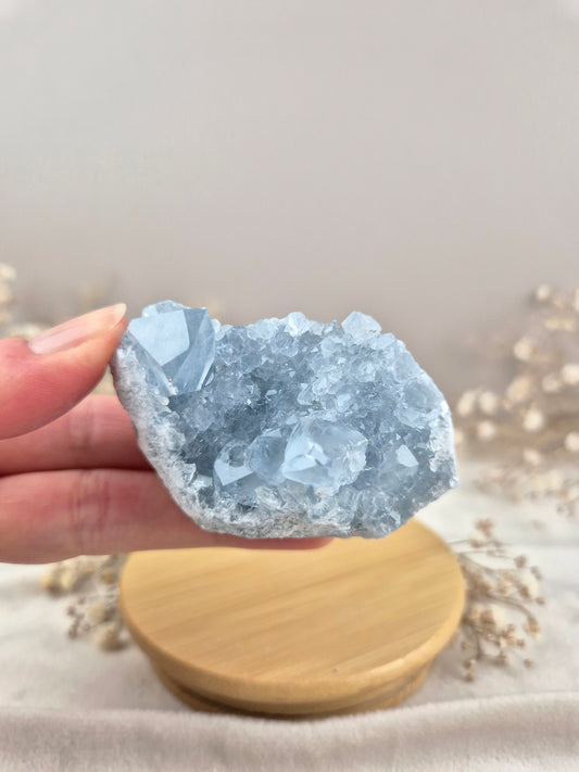 Coelestin Cluster (2)