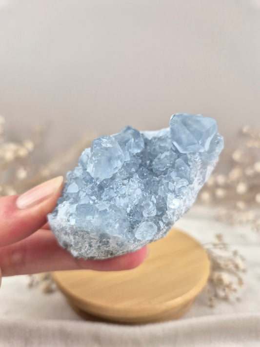 Coelestin Cluster (2)