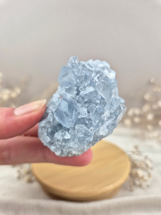 Coelestin Cluster (3)