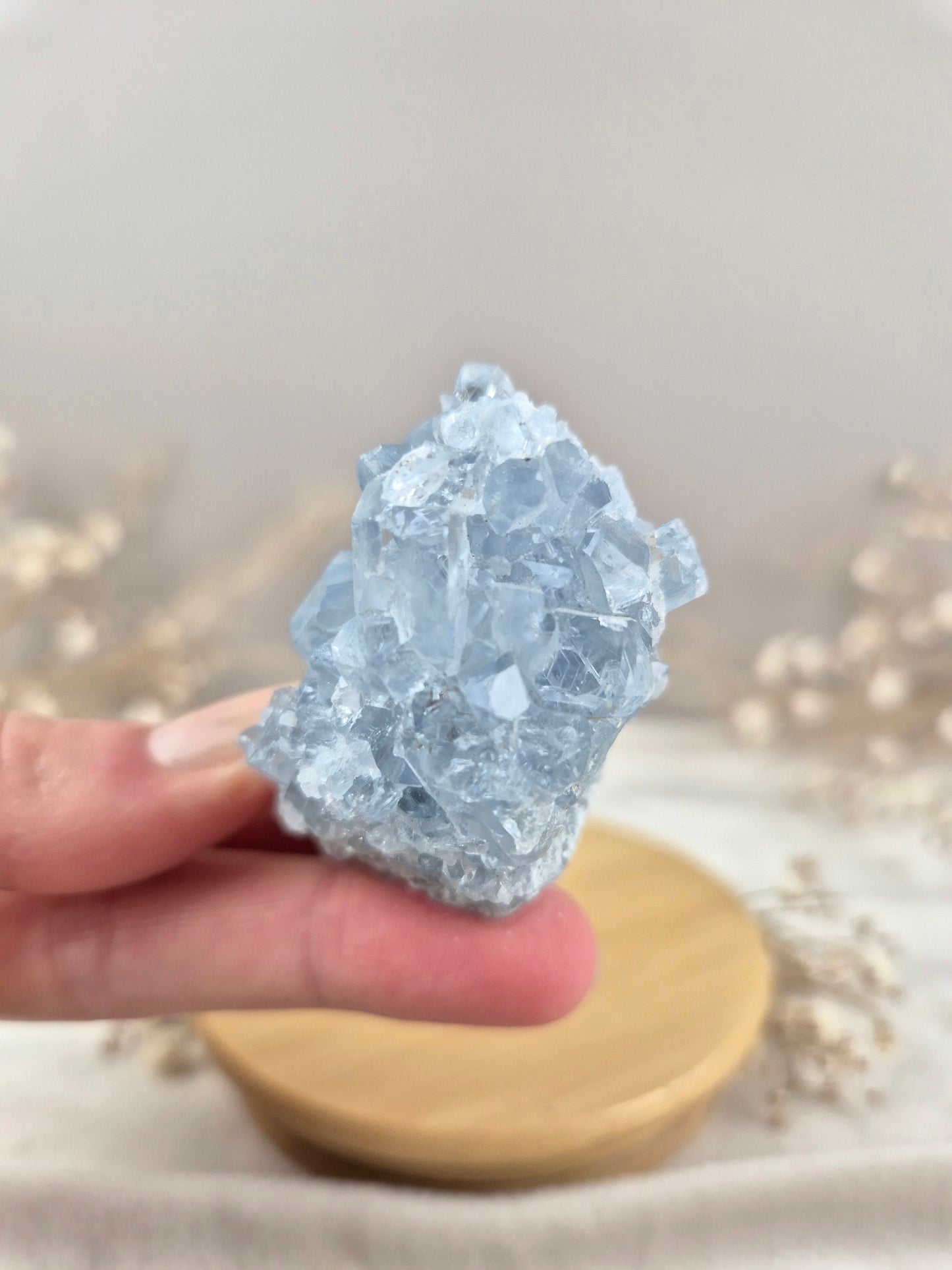 Coelestin Cluster (3)