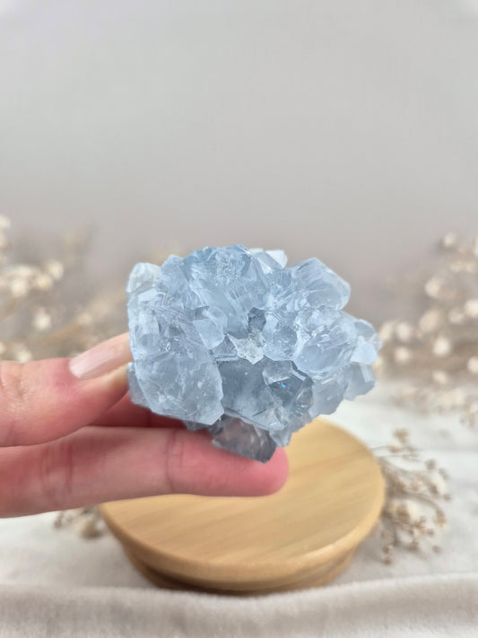 Coelestin Cluster (4)