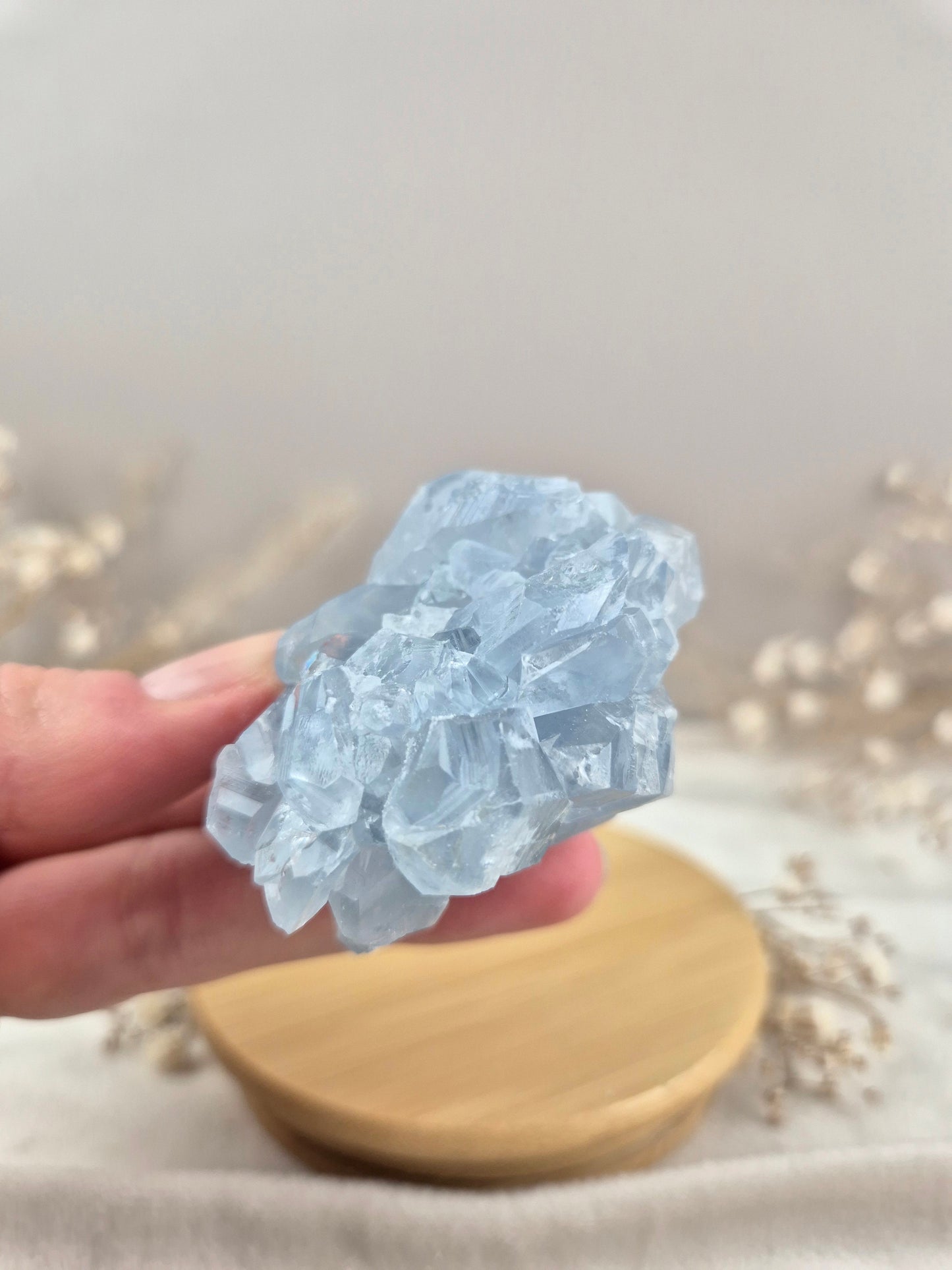 Coelestin Cluster (4)