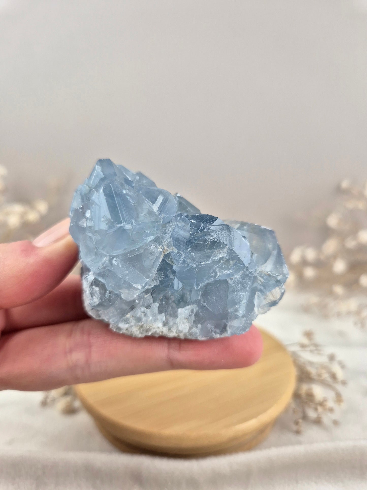 Coelestin Cluster (5)