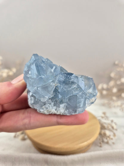 Coelestin Cluster (5)