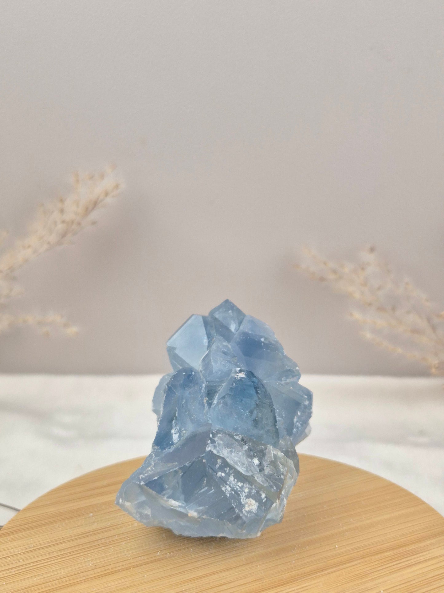 Coelestin Cluster (5)