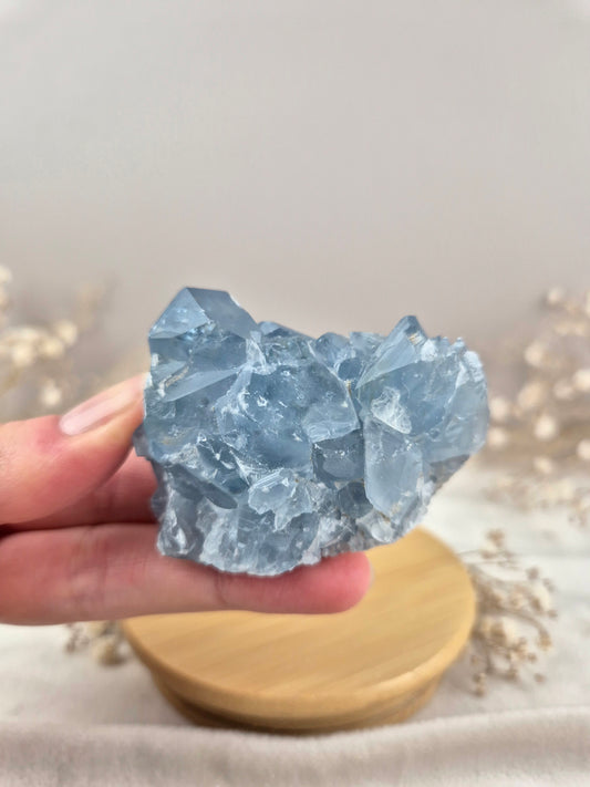 Coelestin Cluster (6)