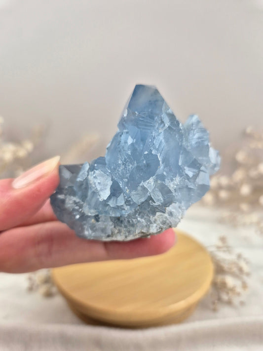 Coelestin Cluster (6)