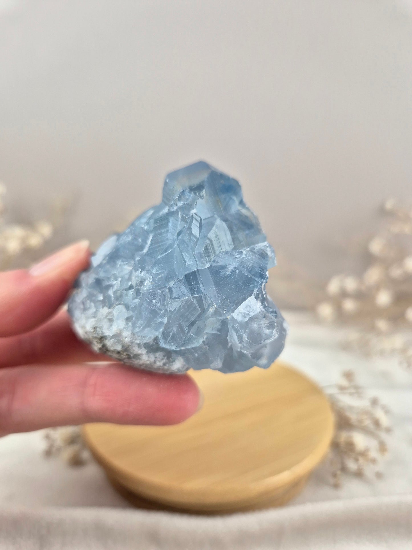 Coelestin Cluster (6)