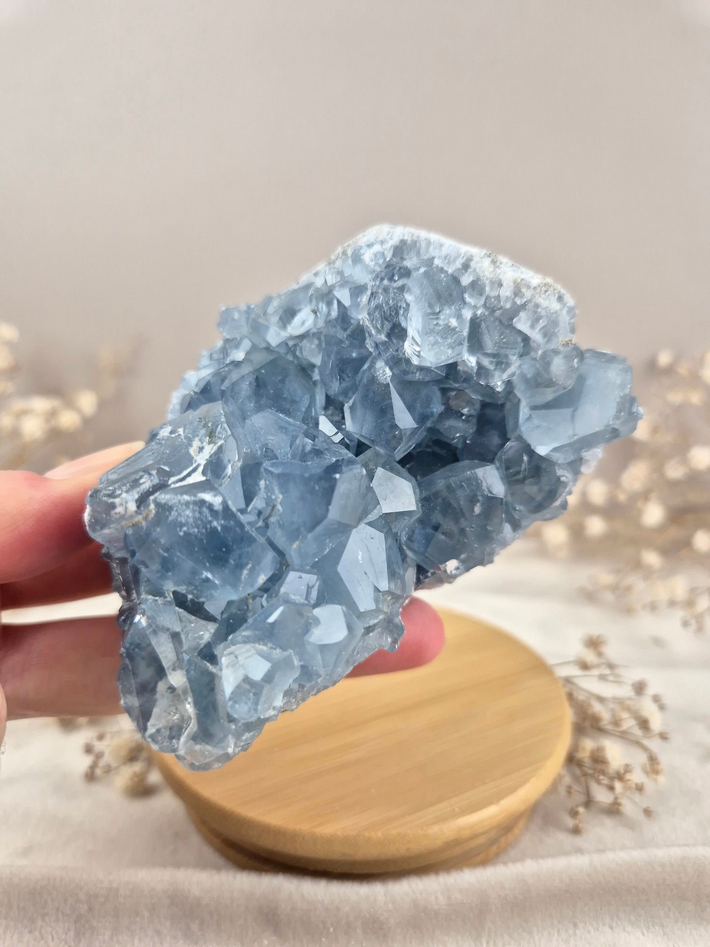 Coelestin Cluster (7)