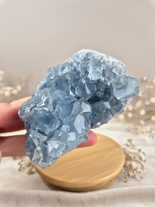 Coelestin Cluster (7)