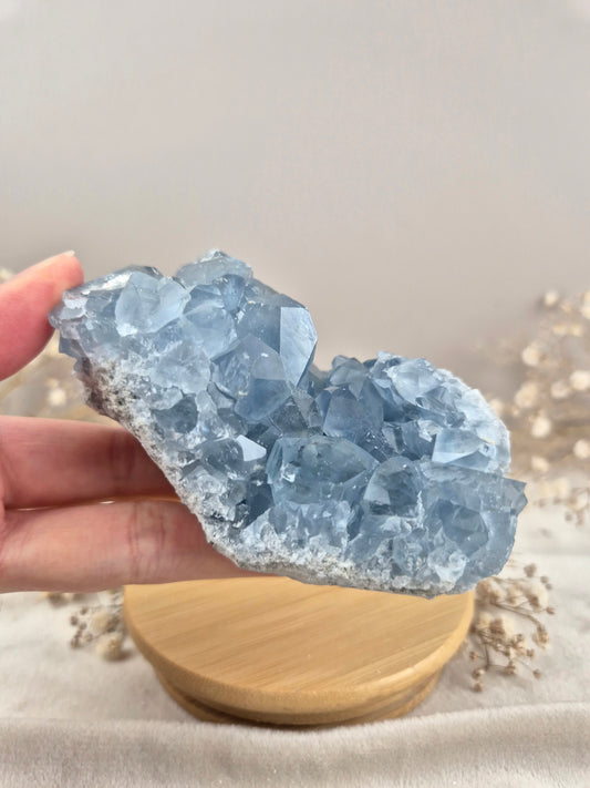 Coelestin Cluster (7)