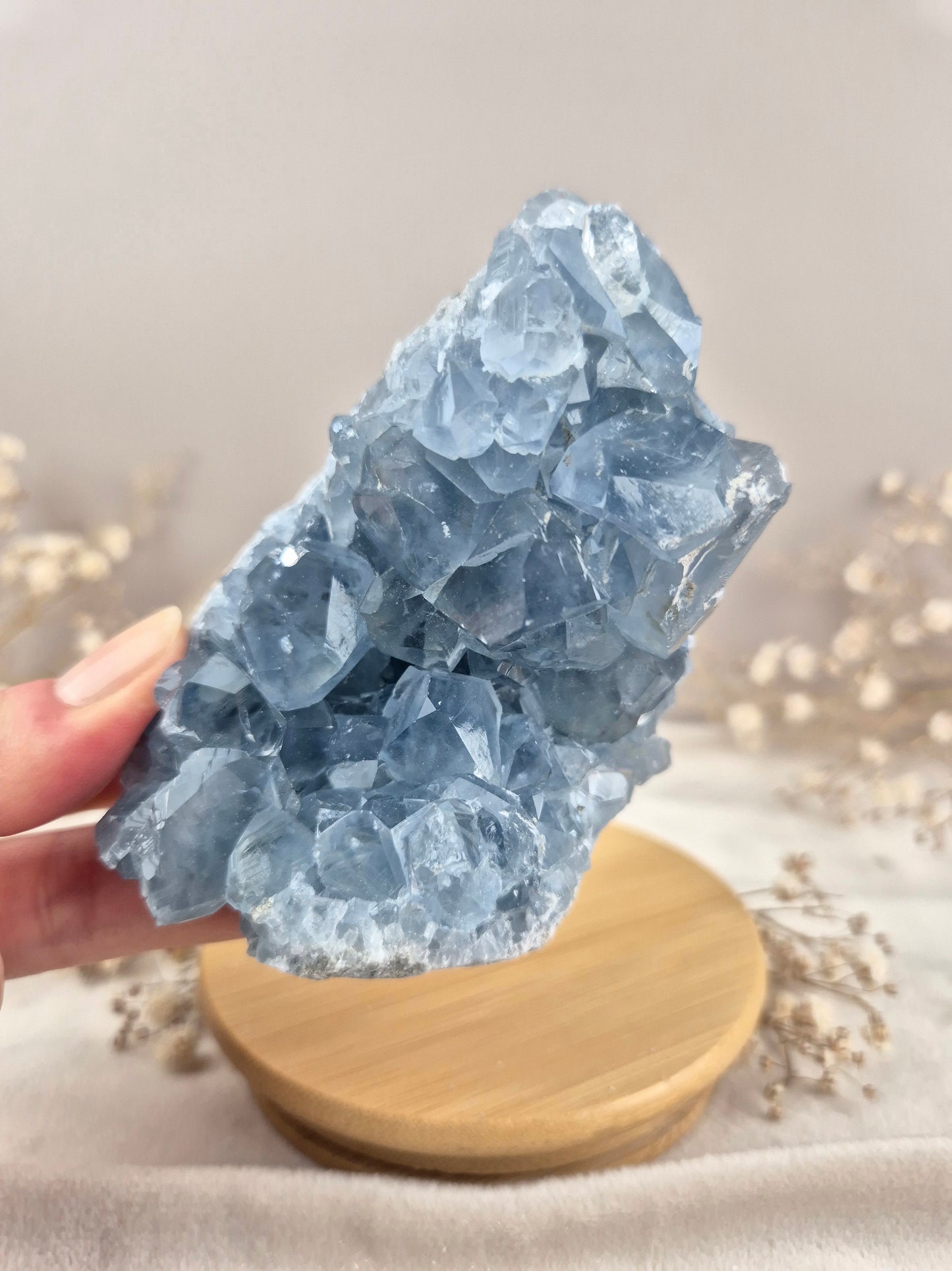 Coelestin Cluster (7)