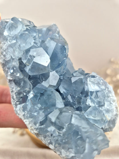 Coelestin Cluster (7)