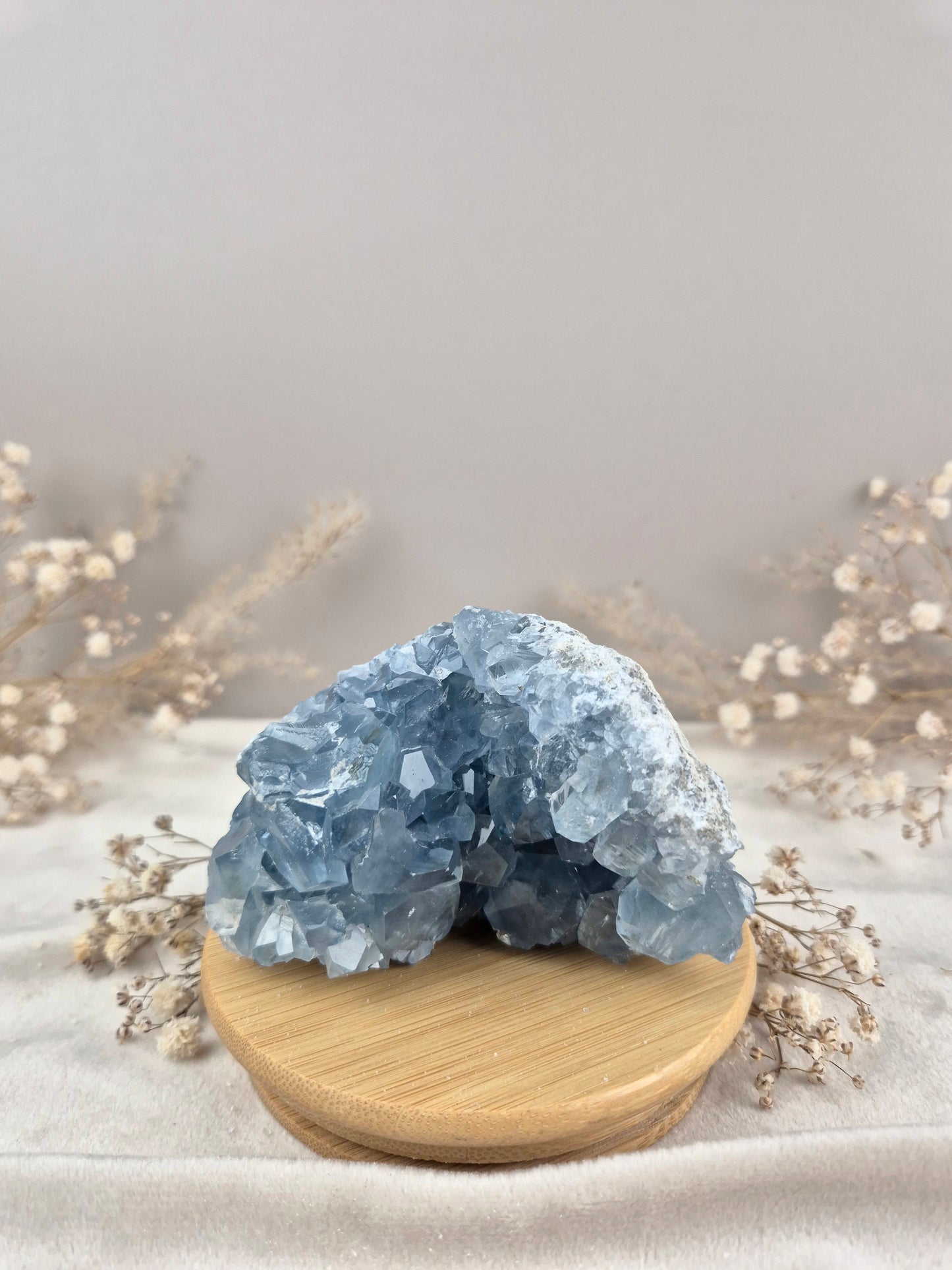 Coelestin Cluster (7)