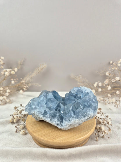 Coelestin Cluster (7)