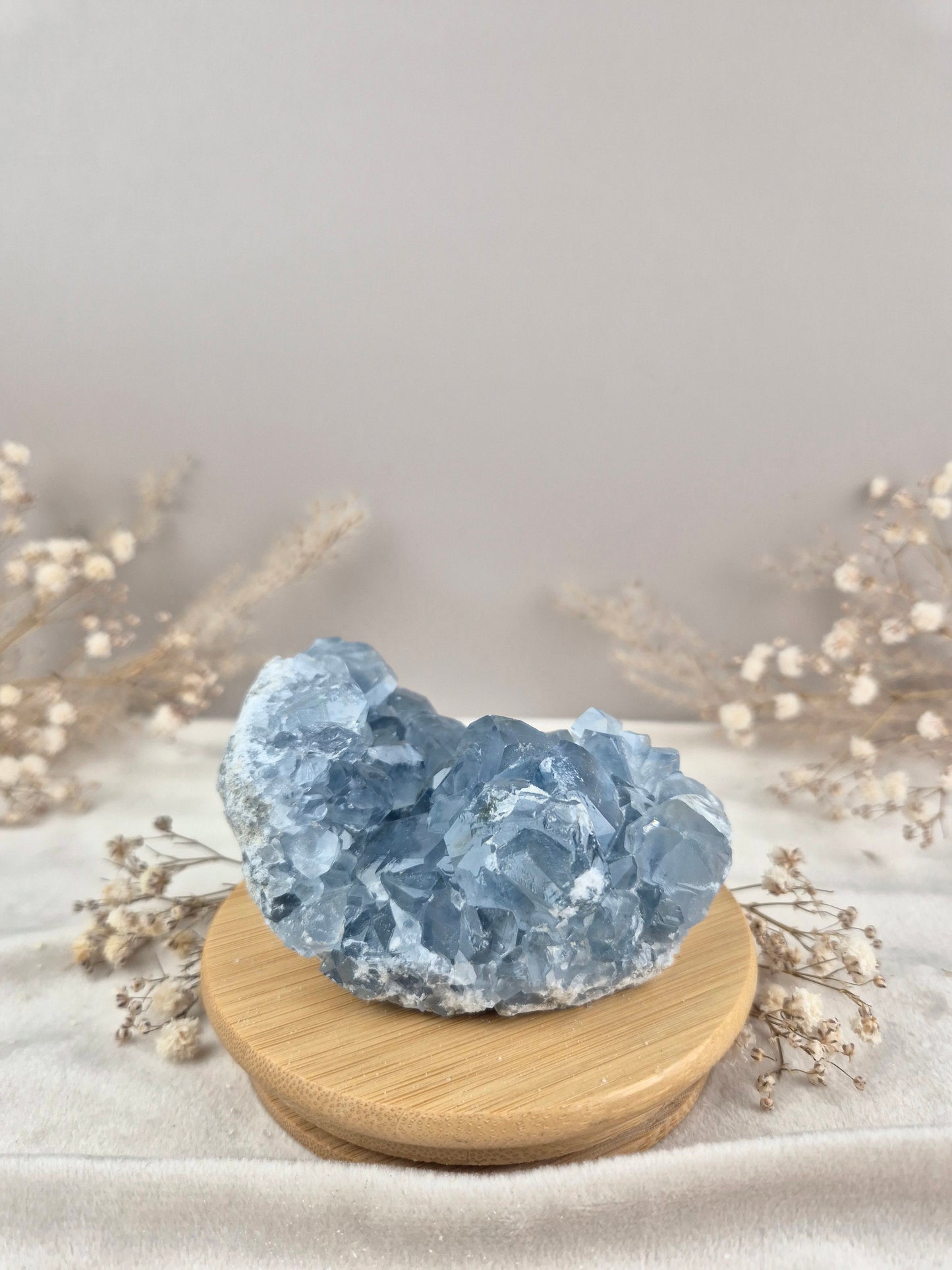 Coelestin Cluster (7)