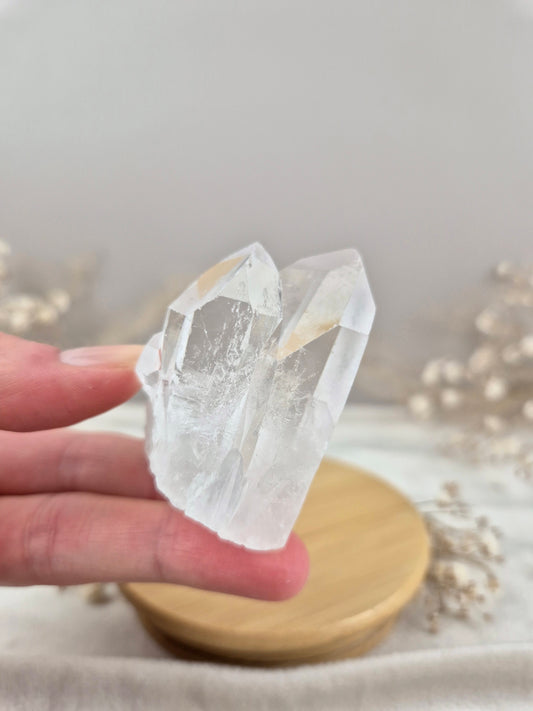 Bergkristall Stufe (9)