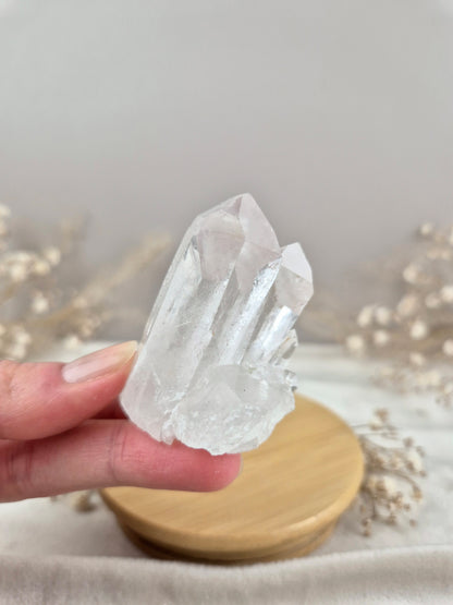 Bergkristall Stufe (9)