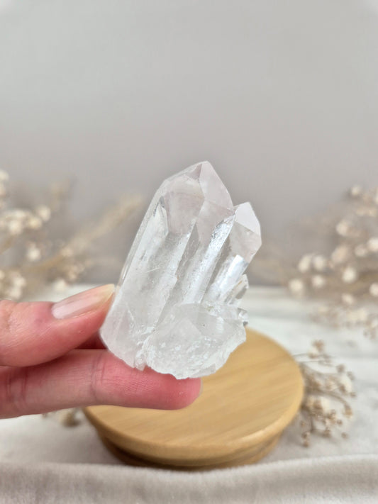 Bergkristall Stufe (9)