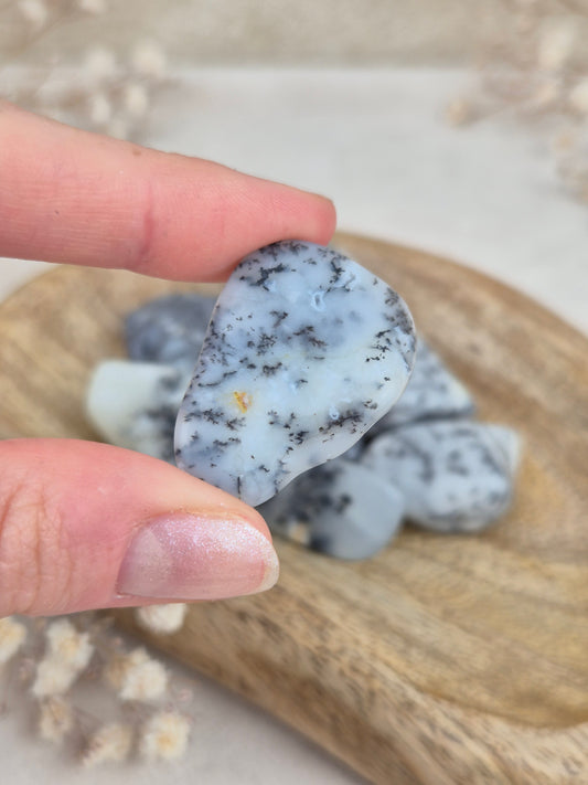Dendritenopal Trommelsteine