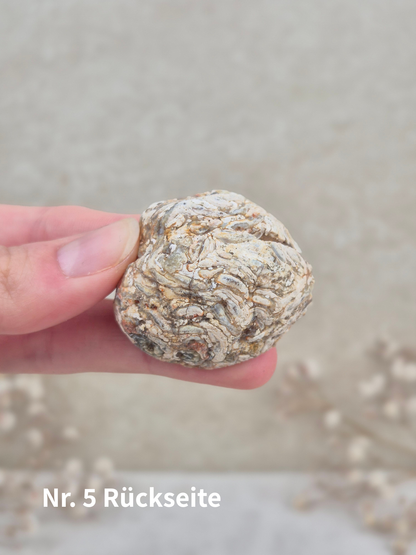 Achat Geoden Hälfte (mini)